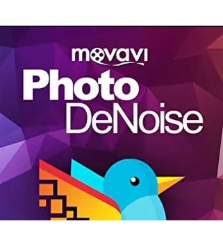 Movavi Photo DeNoise 1 PC Key GLOBAL